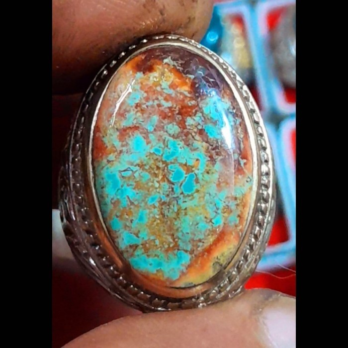 Pirus Persia Abdul Rozaq gradasi hijau