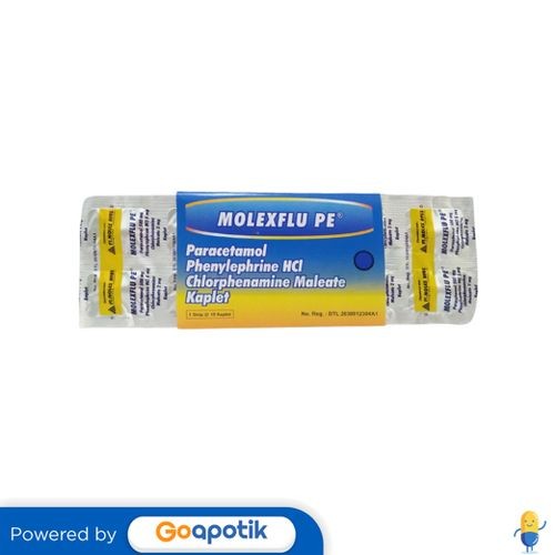 Molexflu Pe Strip 10 Kaplet