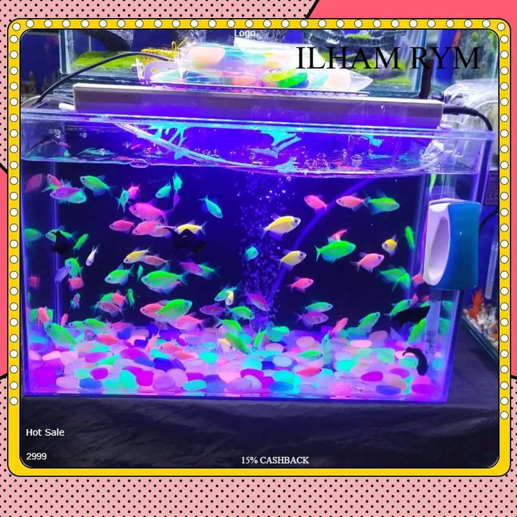 

PACKING TAMBAHAN \ GARANSI KIRIM ULANG DOA DEAT ON ARIVAL DOA