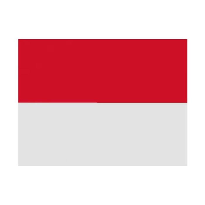 bendera custom printing - 100 x 150 cm Terlaris