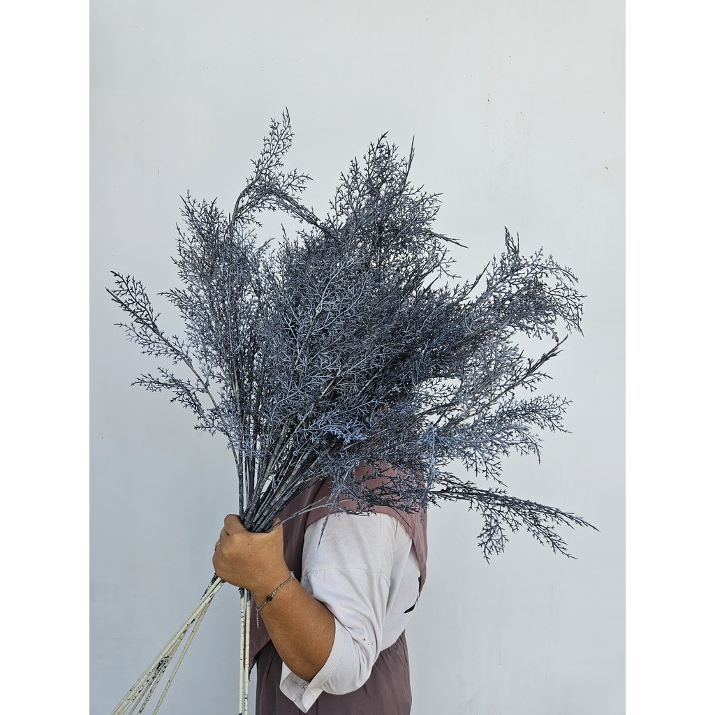 Daun Cemara Asparagus Tangkai Panjang/ Artificial Smoke Bush