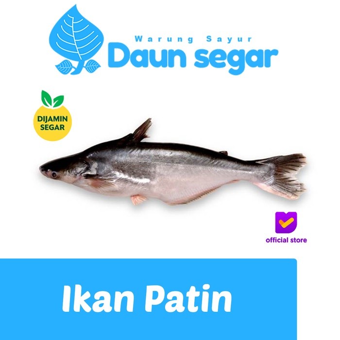 

Ikan Patin Besar Per Ekor Sudah di potong Segar