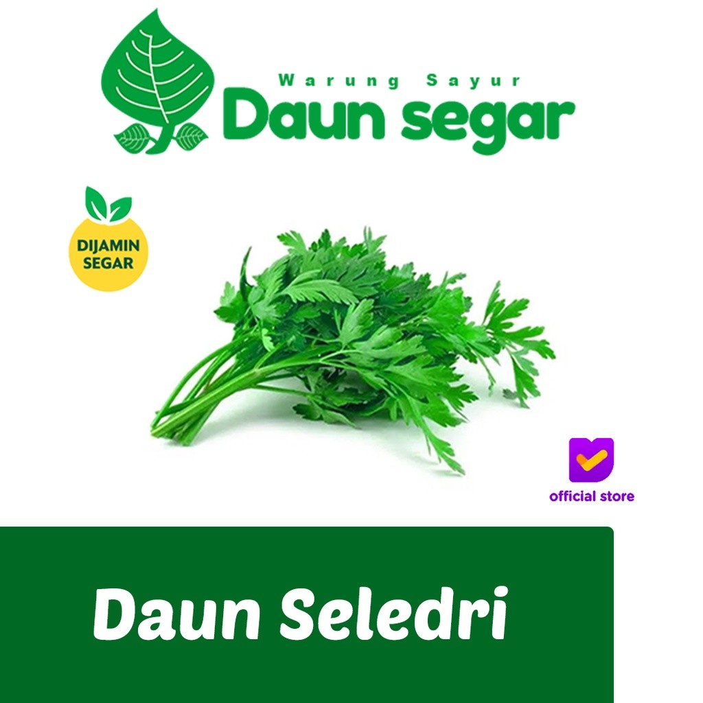 

Daun Selederi Daun Sledri Segar Fresh