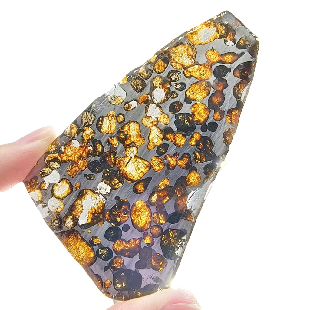 22.5g Seymchan Pallasite Olive Meteorite Slices Specimen Natural Meteorite Material Sliced Collectio