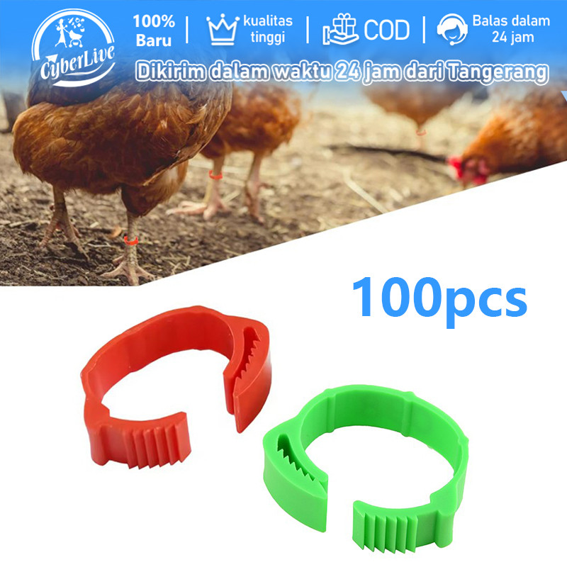 100pcs Segel Kaki Ayam Gelang Ayam Kaki Ring Kaki Ayam Bangkok Segel Ayam Kaki Gelang Ayam Unggas