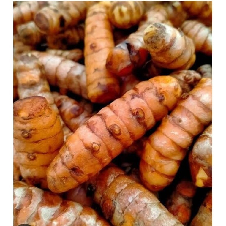 

kunyit segar 1kg ,herbal alami, pres/segar . ( kunyit masak )