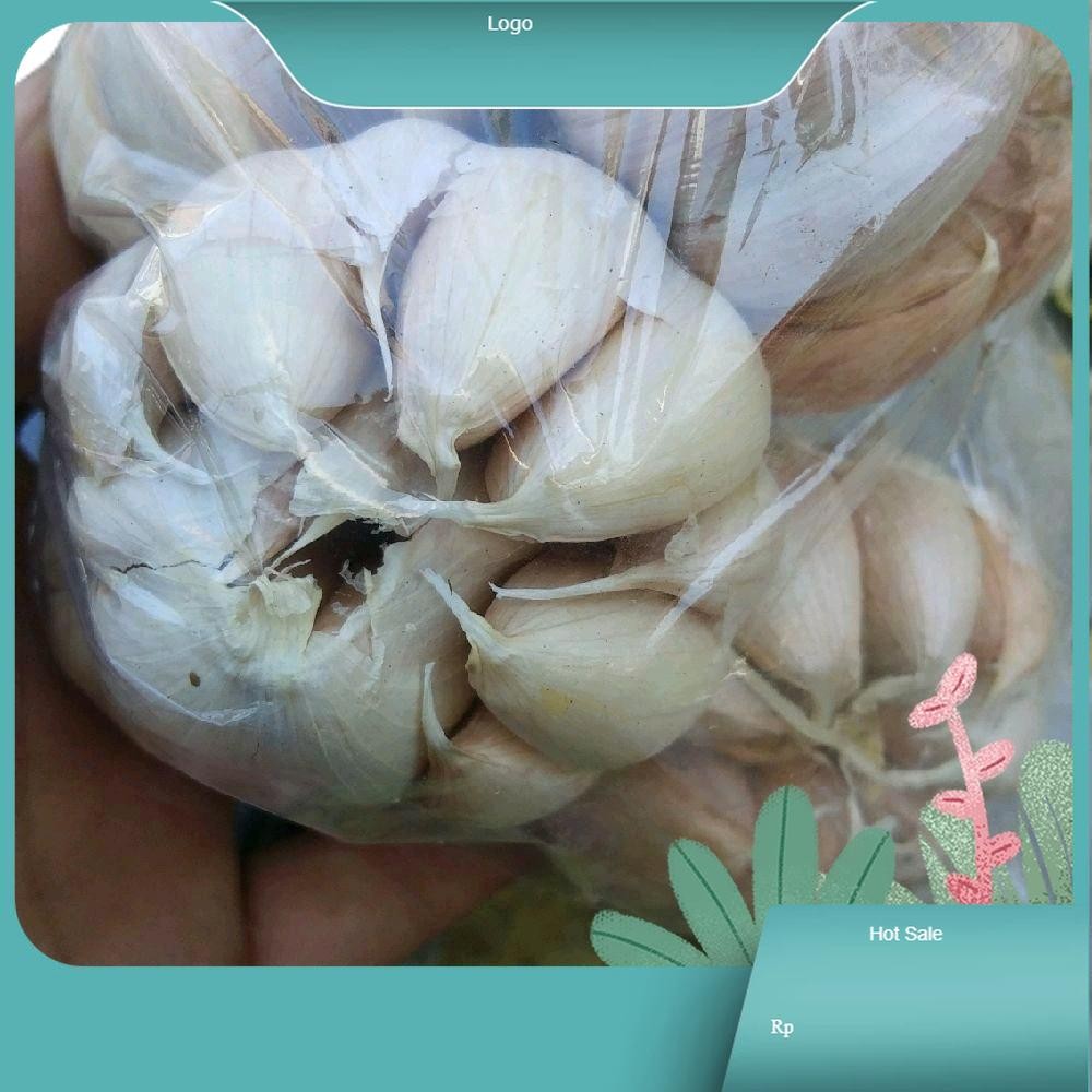 

Bawang Putih Gendulan kering Berkualitas Garlic Food