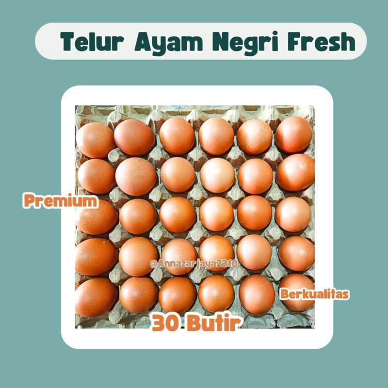 

TELUR AYAM 30 BUTIR SATU TRAY MURAH FRESH