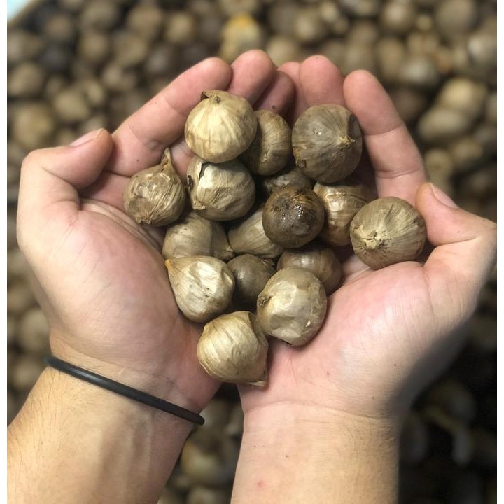 

Promo Buy 1 Get 1 Black Garlic Tunggal 100gram , Bawang Hitam Tunggal Arsy Organik