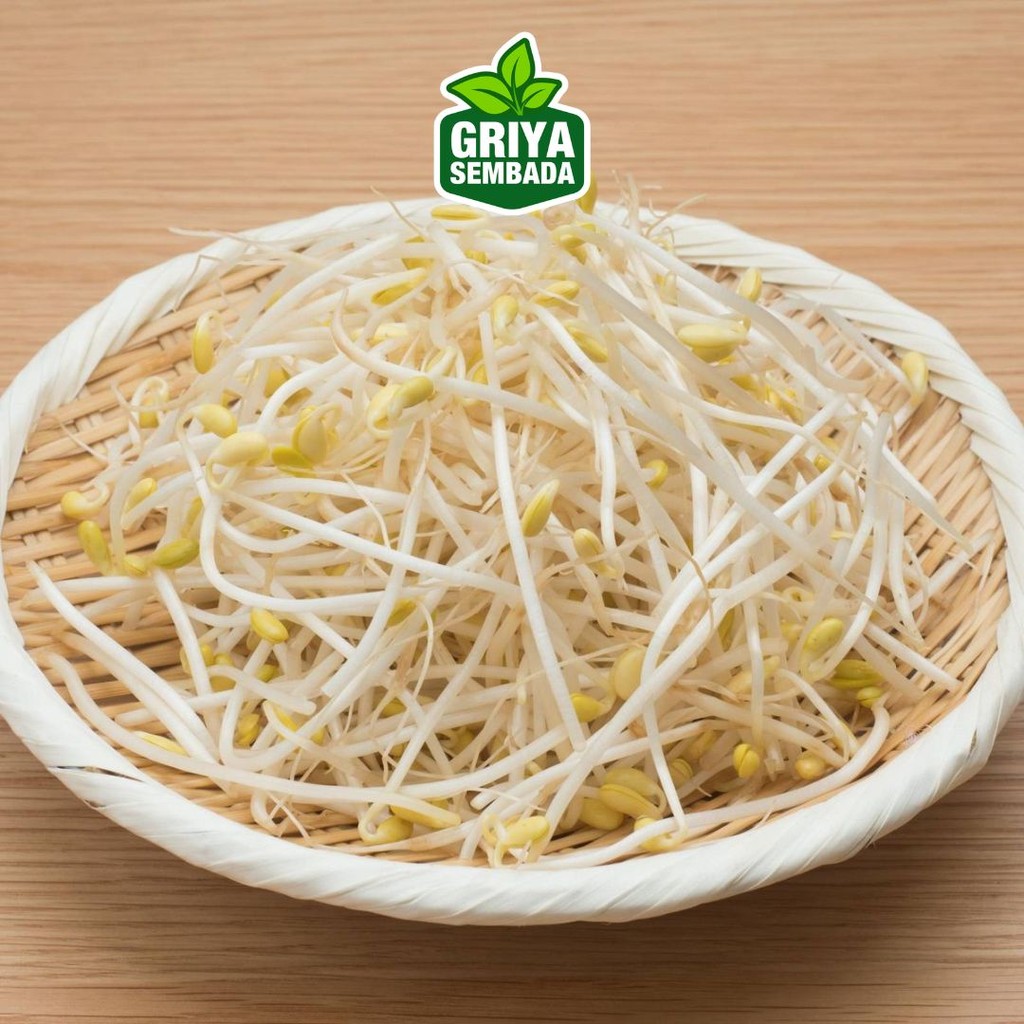 

Toge / Kecambah 200gr - Griya Sembada Kirim Instant /Sameday/Grabfood