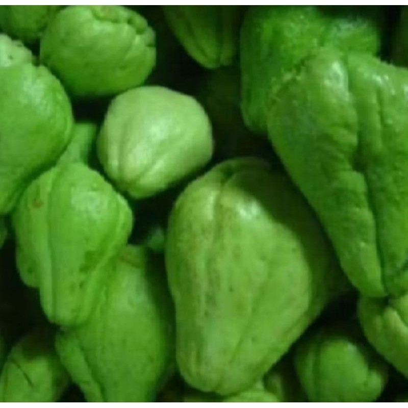 

sayur labuh Siam segar 1kg