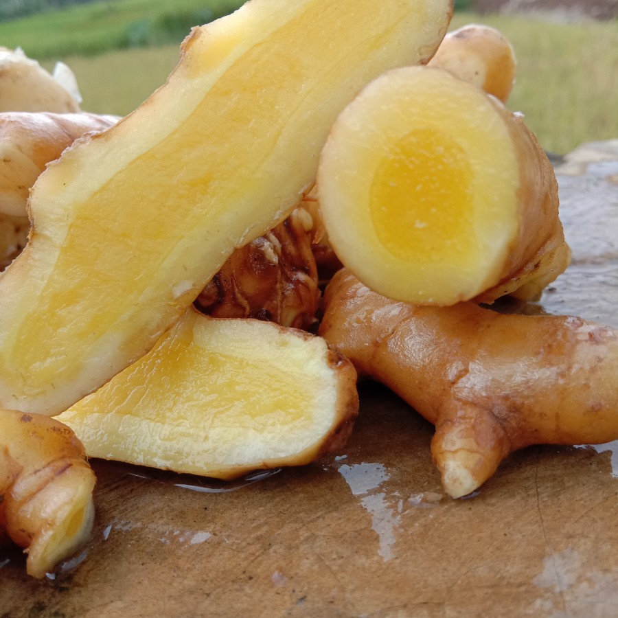 Bersih dan Segar Kunyit Putih / Temu Mangga 1 kg