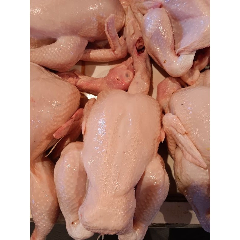 

Ayam Utuh / Potong Uk 800gr - 1.kg