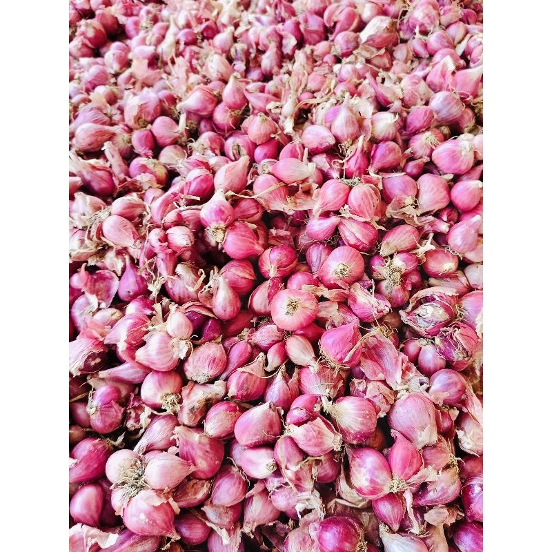 

bawang merah murah 1kg berkualitas|bawang merah/bumbu masak