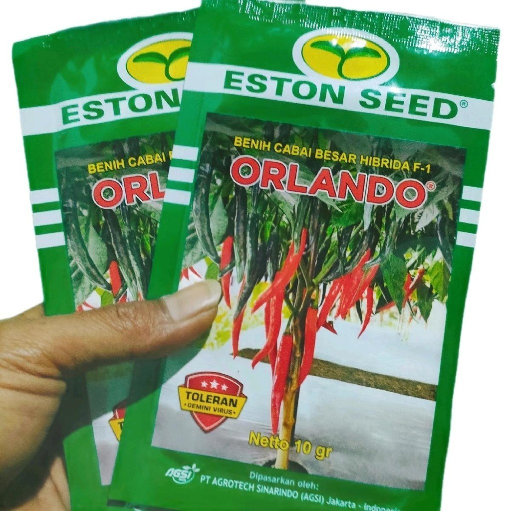 Benih Cabe Orlando F1 Hibrida Adaptasi Dataran Menengah hingga Tinggi