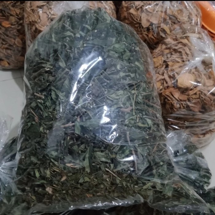 sambiloto kering 1 kg