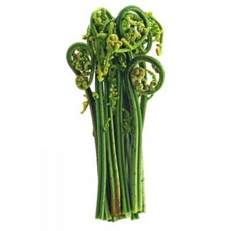 

Pakis sayur fresh per 100gram