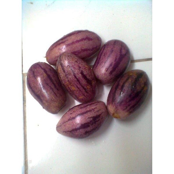 

Buah Pepino Segar 1kg - Penurun Darah Tinggi Alami