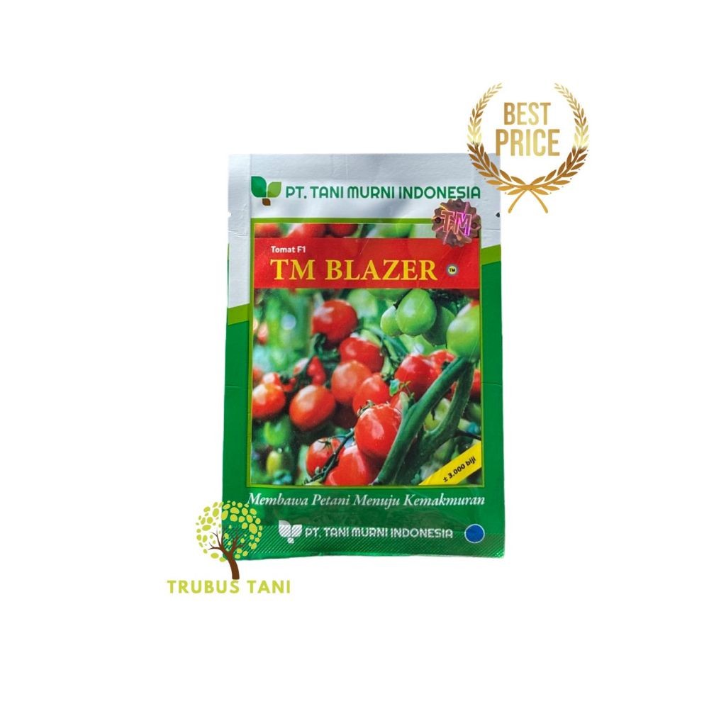 TM BLAZER || Benih Tomat Besar F-1 || 3000 Biji