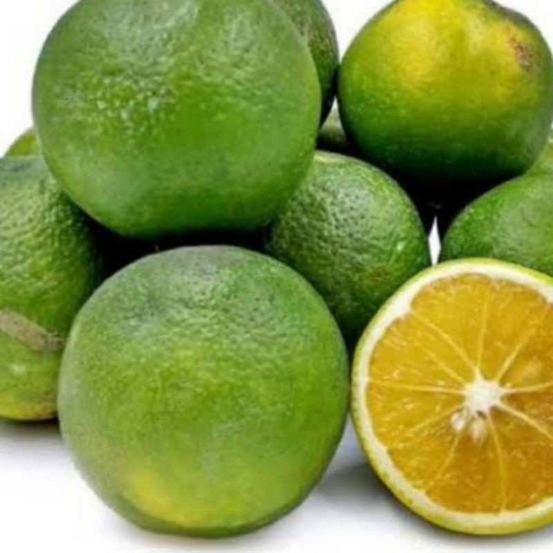 

Jeruk Iris / Jeruk Baby