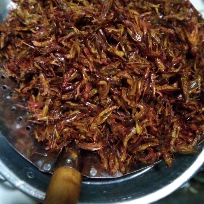 

belalang goreng utes 1kg