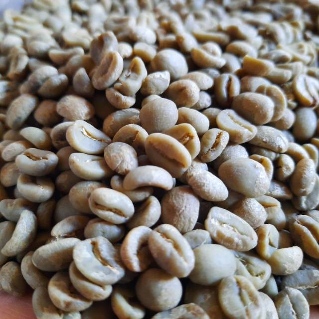 

Green Bean Grade 1 Arabika kintamani Bali (Fullywash )