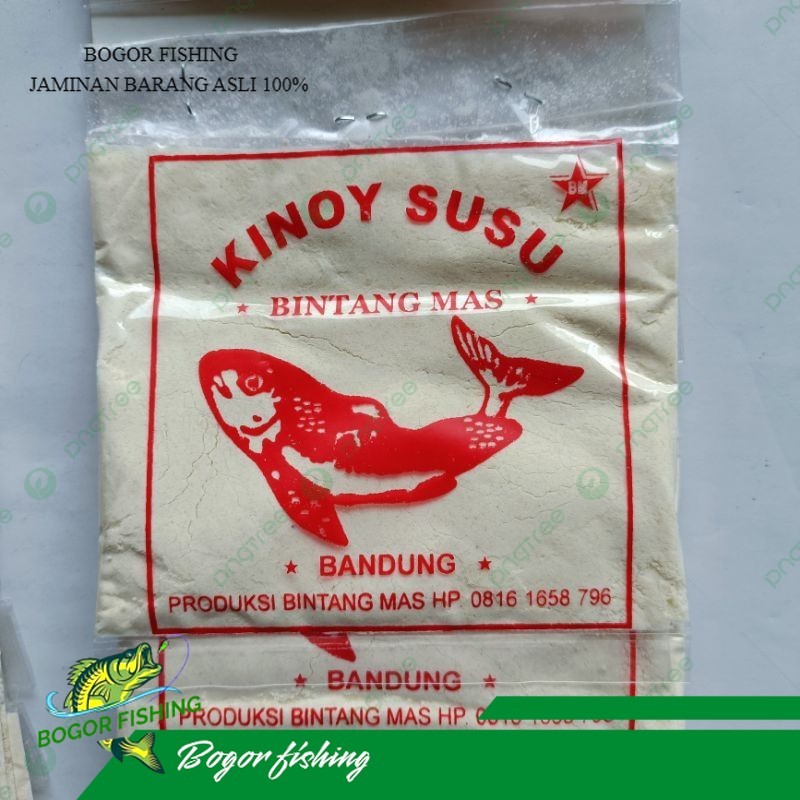 Kinoy susu bintang mas  - umpn pancing kinoy susu asli 100%
