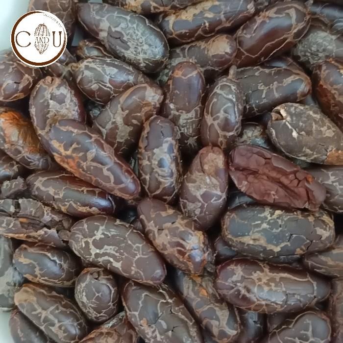 

Nibs/Biji 100gr kakao kering fermented roasted