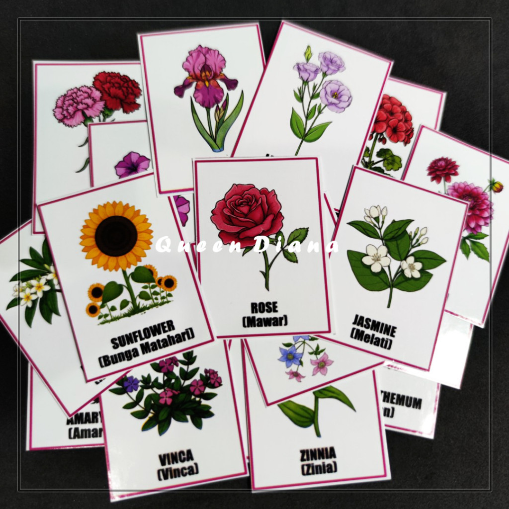 

STIKER PRINTING A3 BUNGA BAHASA INGGRIS ISI 25 PCS UNTUK BELAJAR DAN HIASAN FULL COLOR