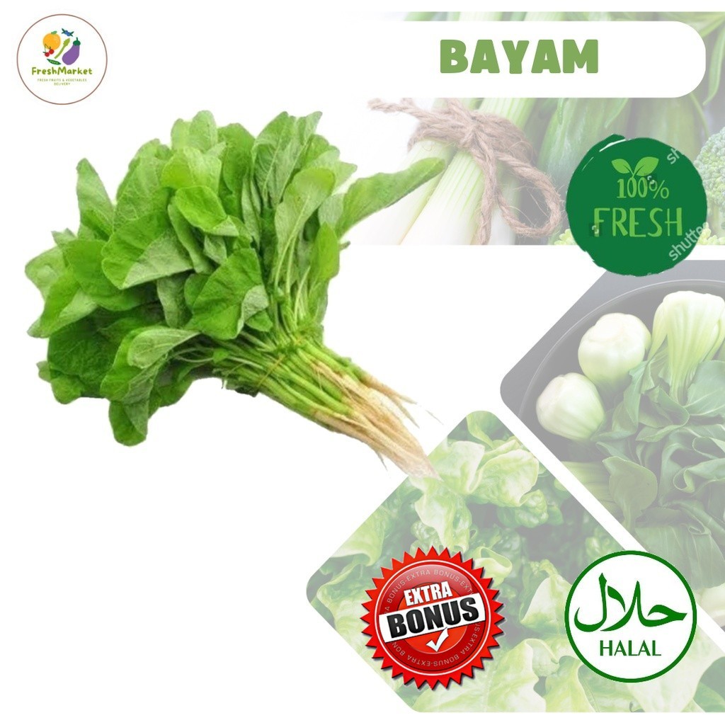 

Bayam Hijau Segar Sayur Sayuran 1 Ikat Sayurinstant