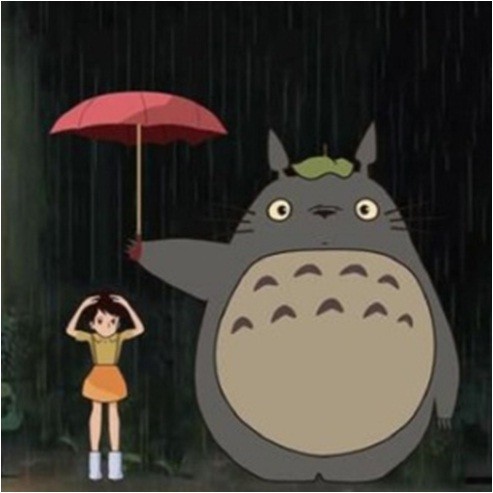 

paint by numbers 20x20CM totoro