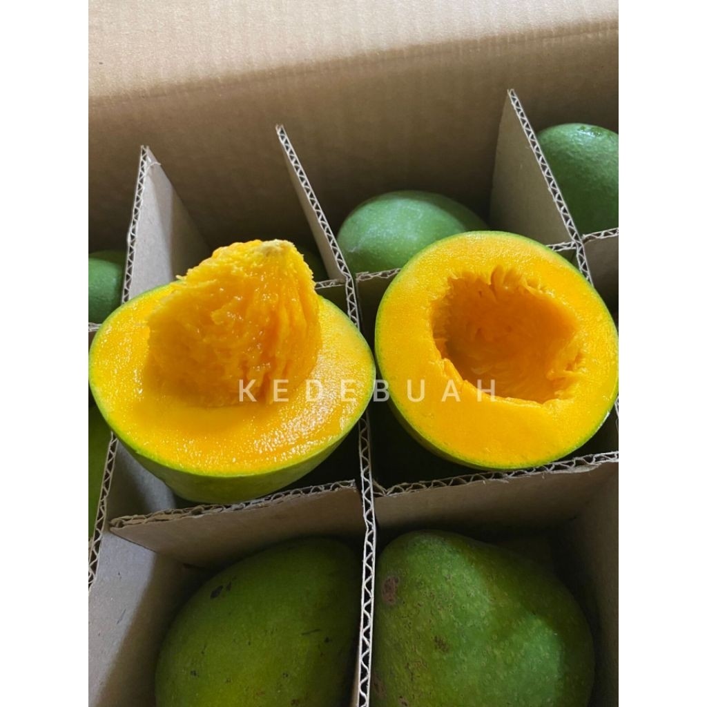 

Mangga Alpukat Bangil Super (1 Dus 5 Kg)