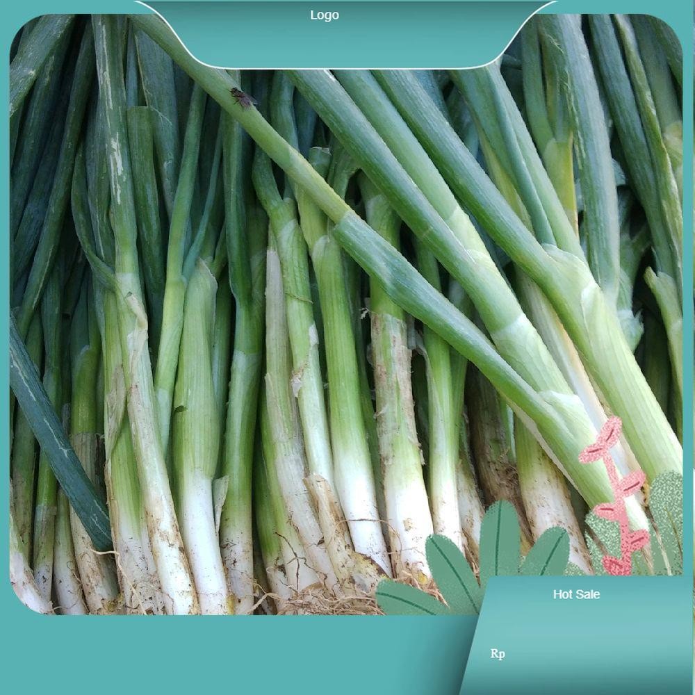 

bawang daun segar daun bawang kualitas terbaik