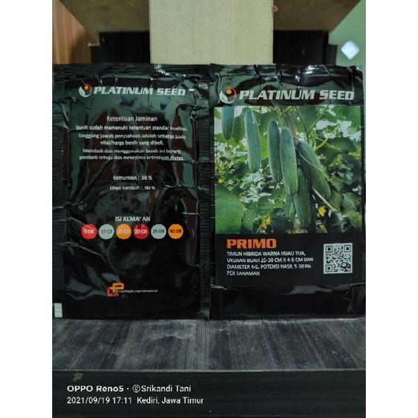 Benih Timun Primo F1 Platinum Seed Timun Hijau Gelap Umur Genjah Kemasan 20gr Original Pabrik