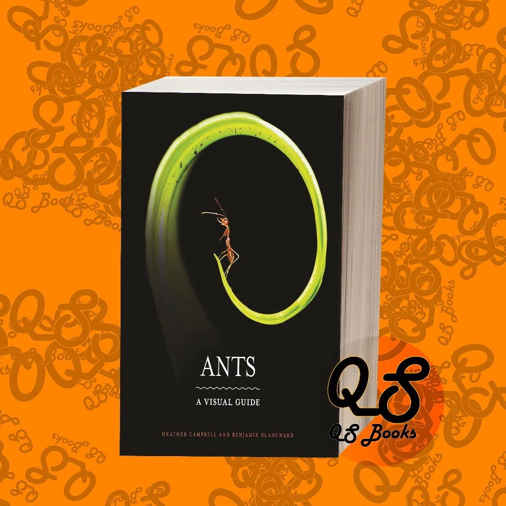 Ants: A Visual Guide