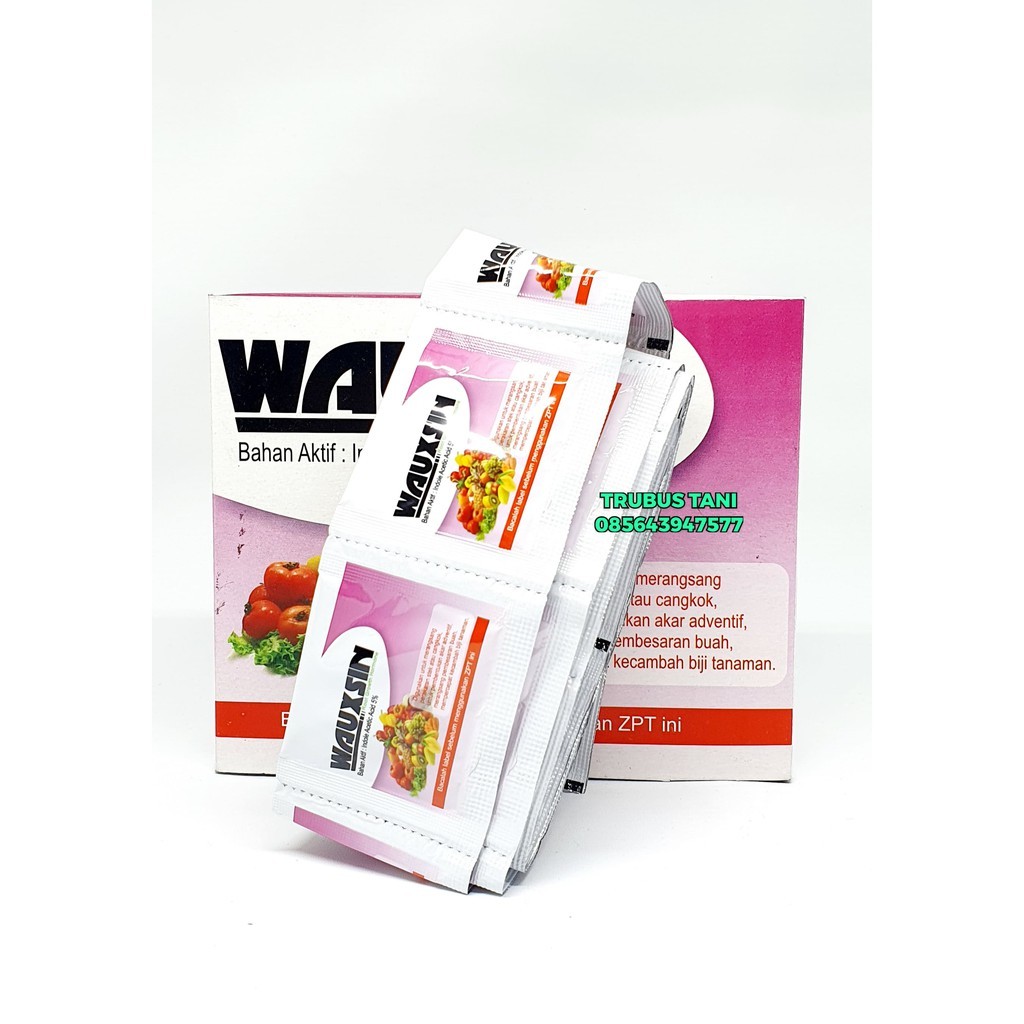 WAUXSIN Zpt Hormon akar, merangsang perakaran stek atau cangkok