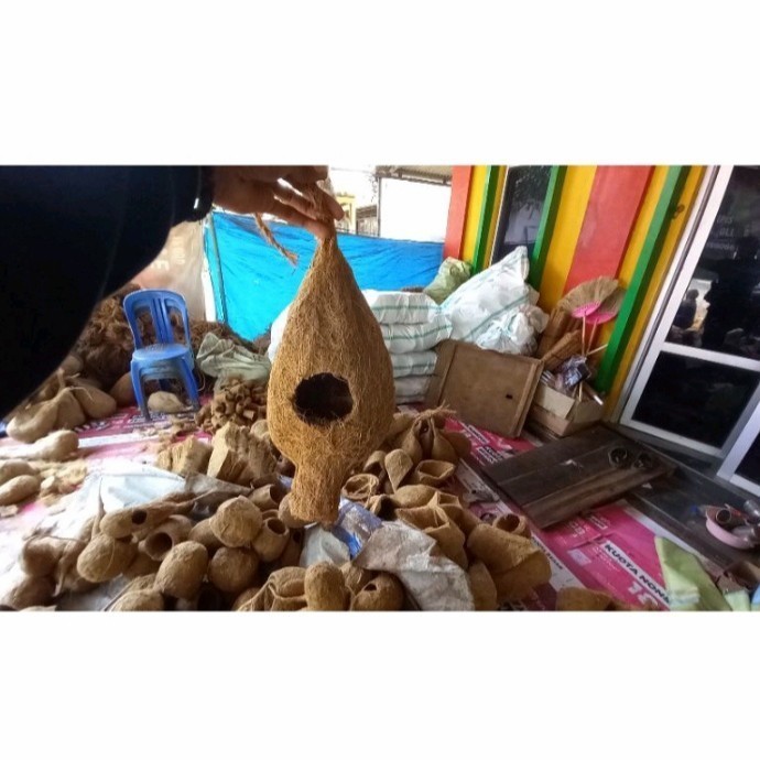 glodok sarang burung sabut kelapa lovebird tupai bajing sugar glider murah alami (Dunia Serabut Kela