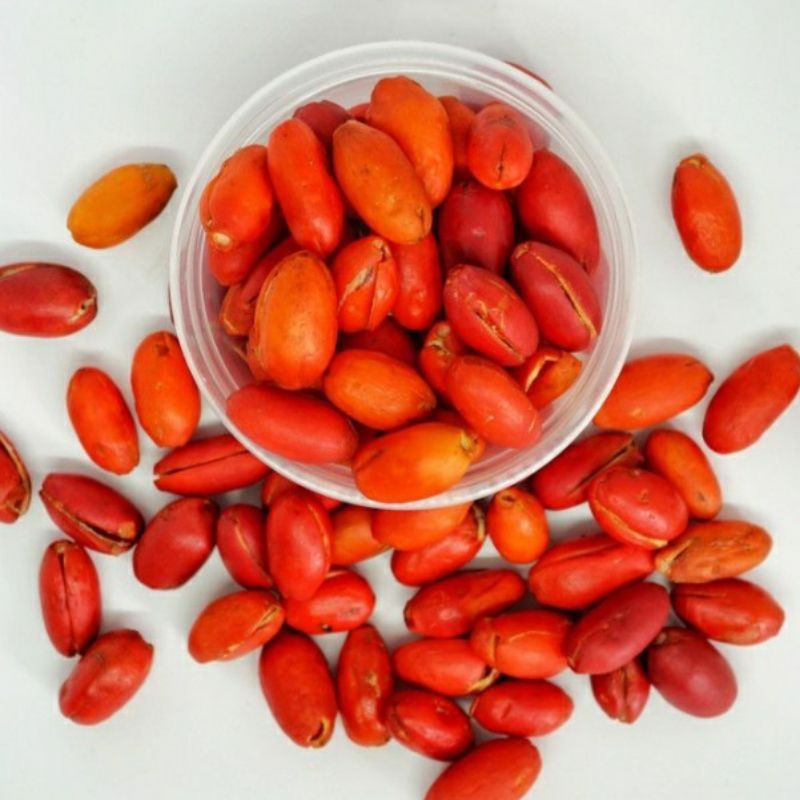 

Kulit Melinjo 250 g