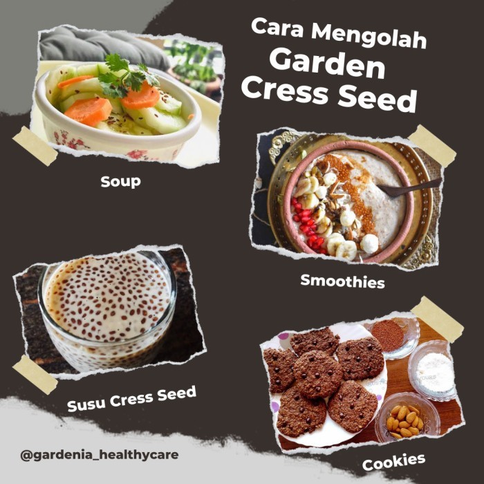 

Garden Cress Seed - Biji Selasih Merah - Obat Sakit Lutut & Diabetes - size 50gr