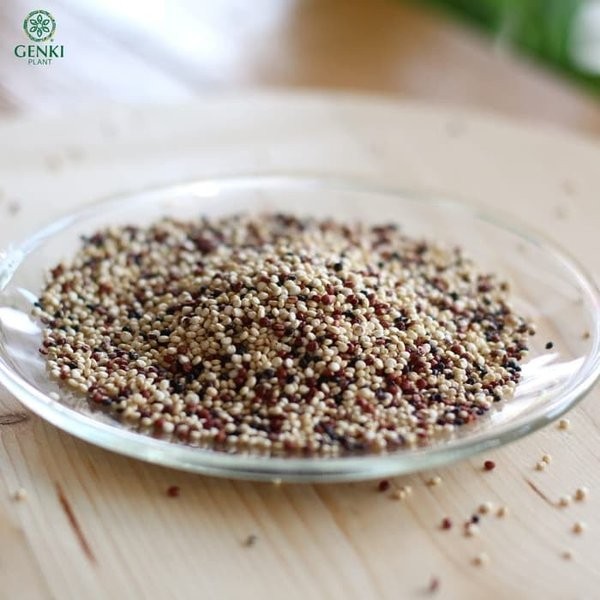 

QUINOA TRICOLOR 1 KG / ORGANIC QUINOA TRICOLOR MIX 1 KG