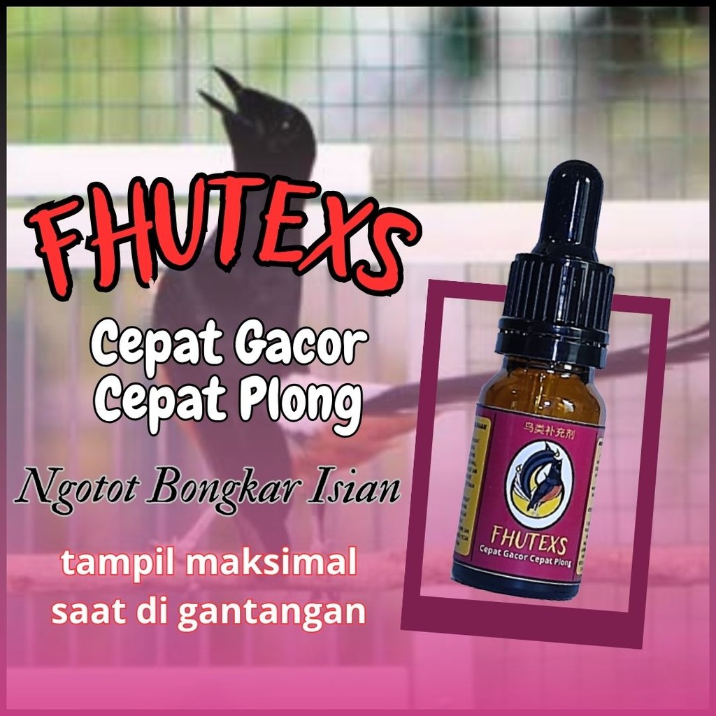 Vitamin Burung Gacor Fhutexs Untuk Murai Batu Ampuh Untuk Harian & Lomba | Obat Vitamin Penggacor