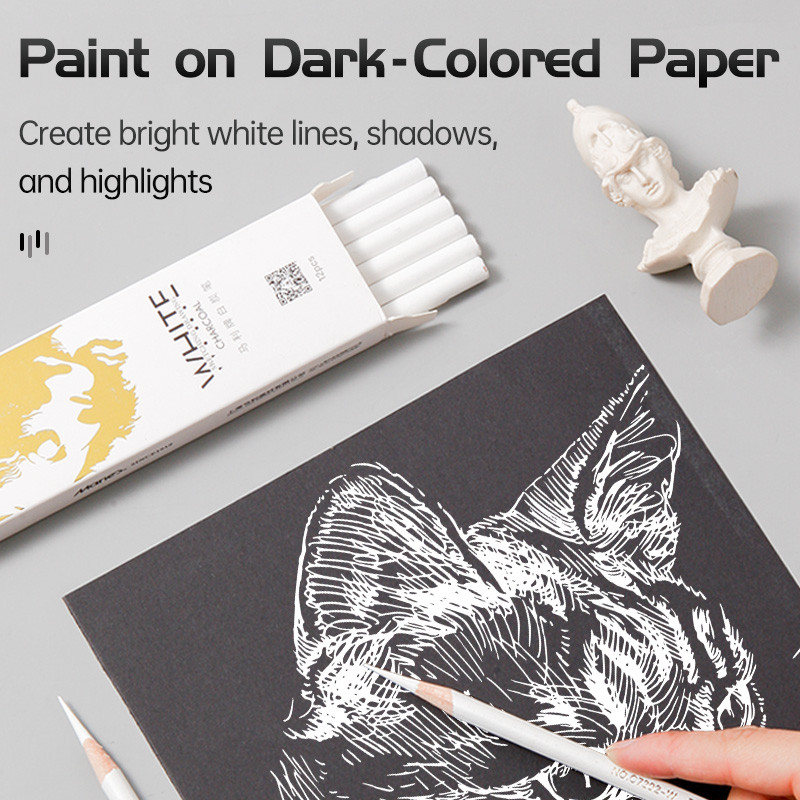 

12pcs Marie's White Charcoal Pencils Set,Sketch Highlight Pencils,for Sketching,Shading,Blending,Supplies for Beginners,Artists