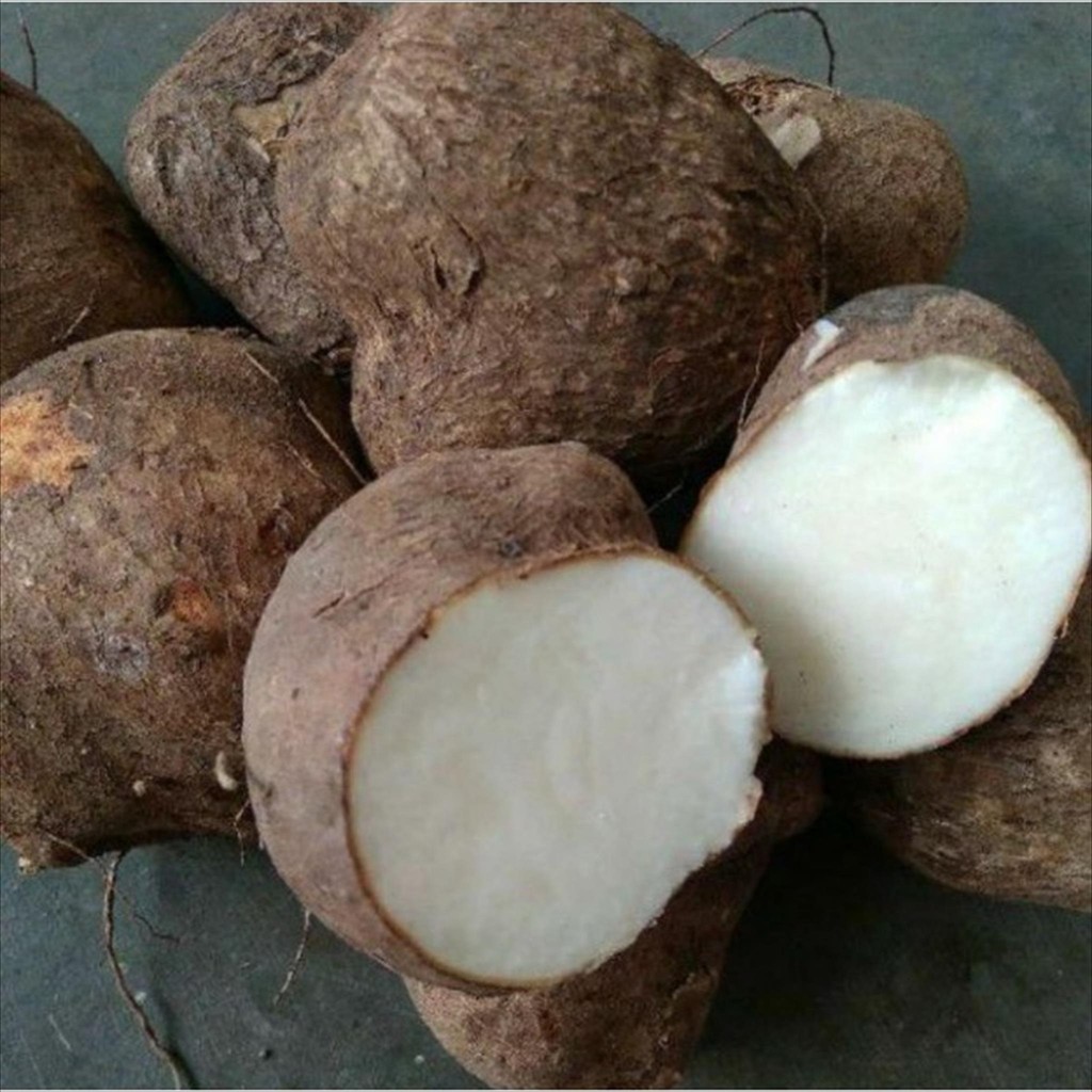 

UBI JALAR UWI PUTIH PER 1 KG FRESH HARIAN PASAR