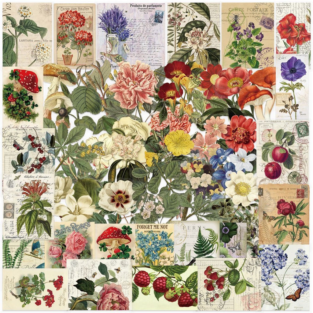 

50Pcs Transparent Cartoon Retro Plant Series Stickers Suitcase Phone Case Water Bottle Waterproof Decoration Diy Sticker Packs