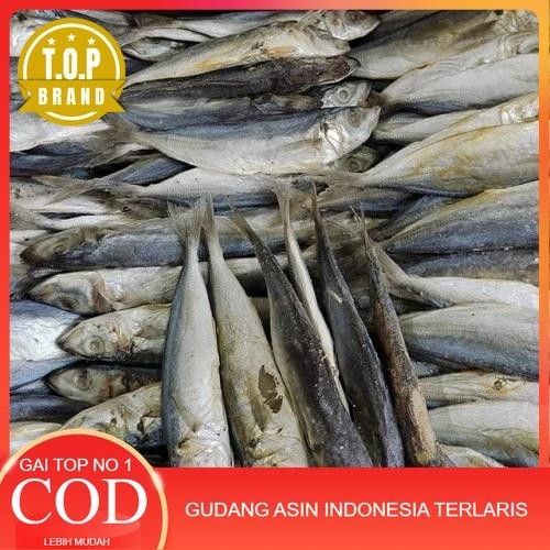 

BEST SELLER ikan asin japuh Gurih enak 250 gr