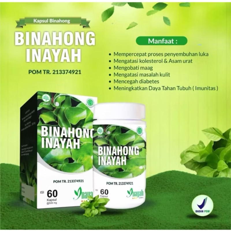 Pusat Import Id  - KAPSUL DAUN BINAHONG 60 Kapsul Inayah kotak BPOM