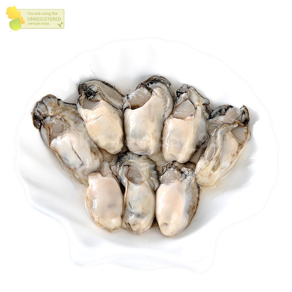

Kerang Tiram Oyster Segar 1Kg Tiram Kupas Segar Daging Kerang Tiram Oyster