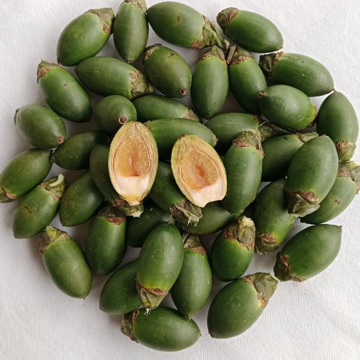 

Pinang Muda 1kg Pilihan Buah Jambe Muda Segar Shop with