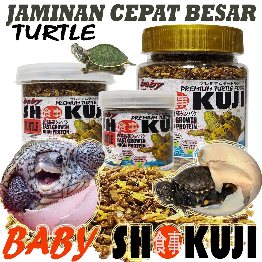 SHOKUJI TURTLE BABY FOOD MAKANAN RES BRAZIL ALIGATOR PELET PAKAN KURA KURA AIR BAYI KURAKURA AMBON D