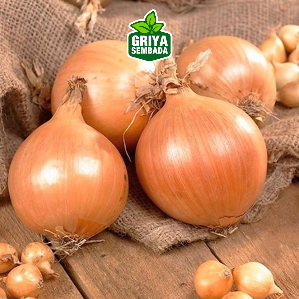 

Bawang Bombay 250gr - Sayur Basmalah